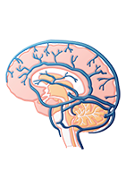 Aperçu test thyroïdien